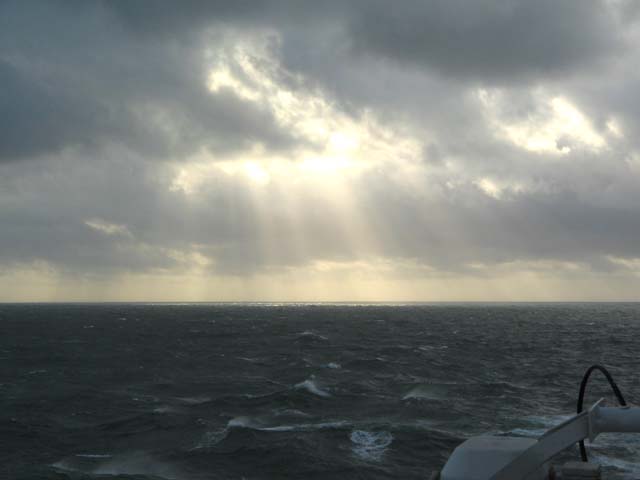 Mare