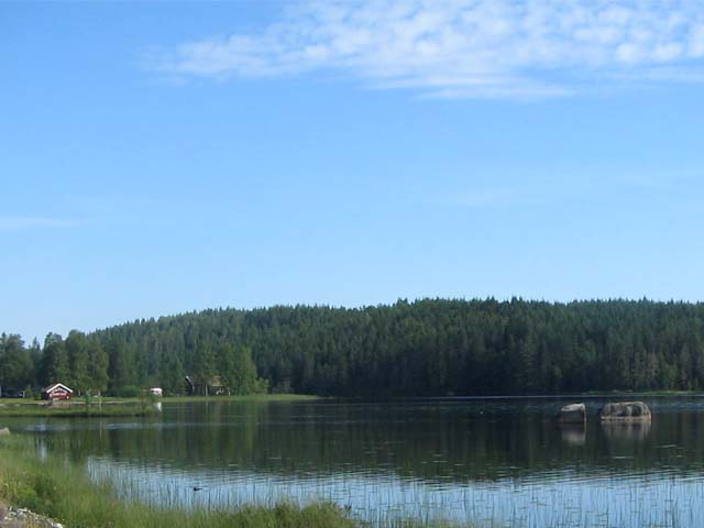 Mora Orsa