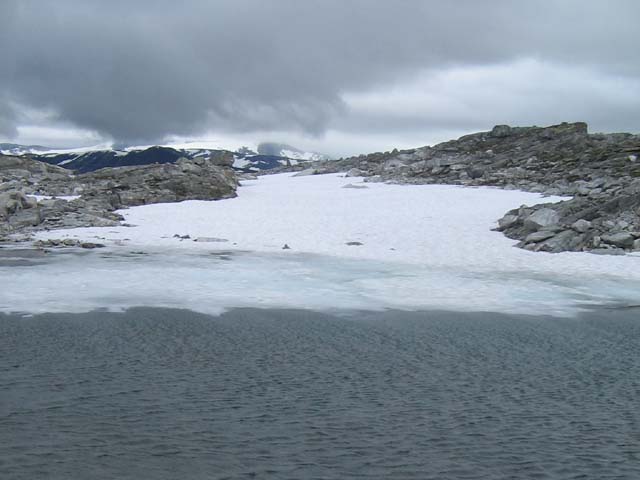 Neve