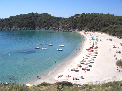 Fetovaia