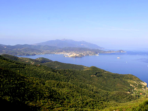 Volterraio