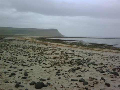 La spiaggia e la scogliera di Látrabjarg